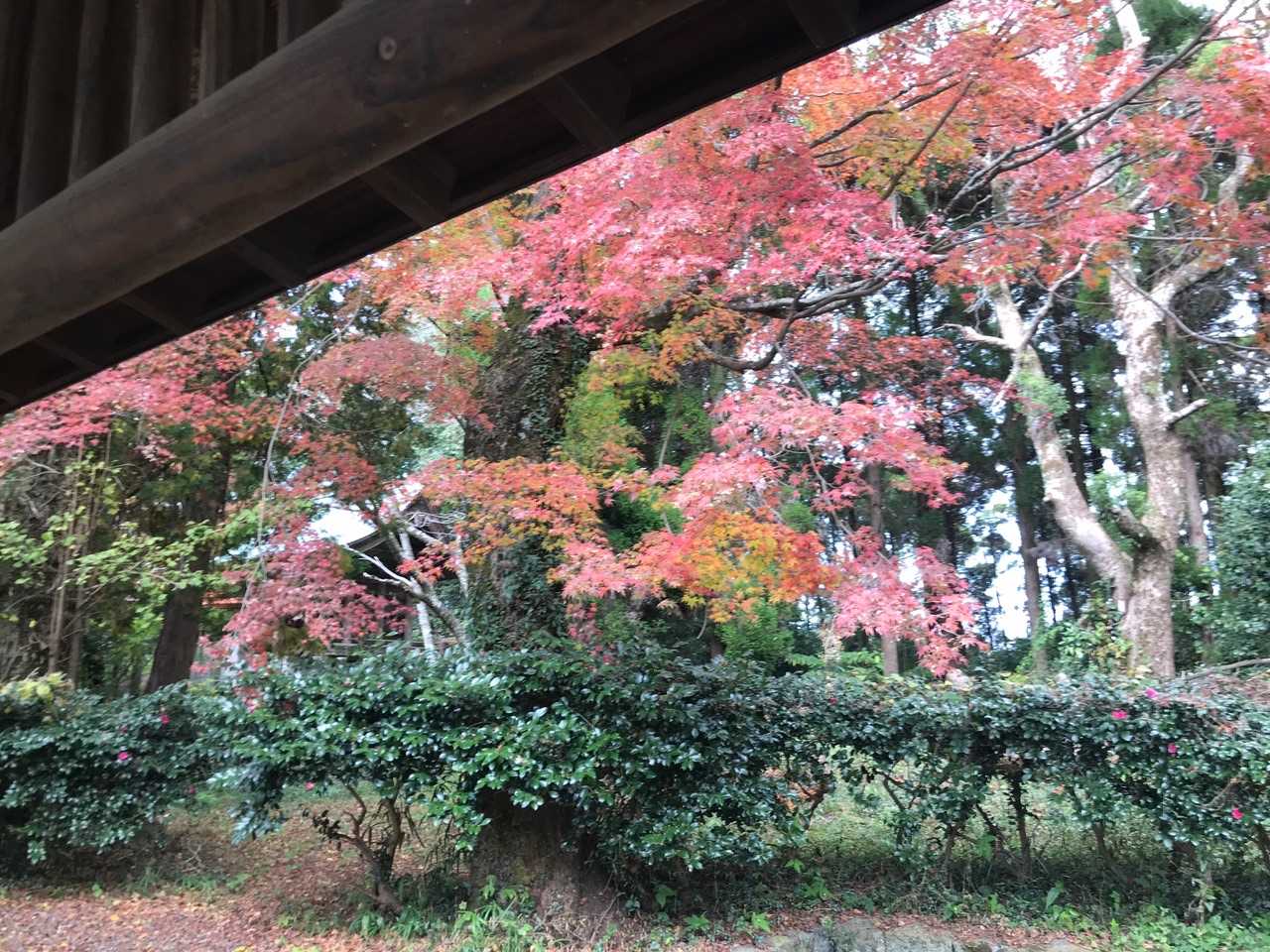 山頂の東屋から