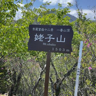 姥子山西峰に登頂🙌