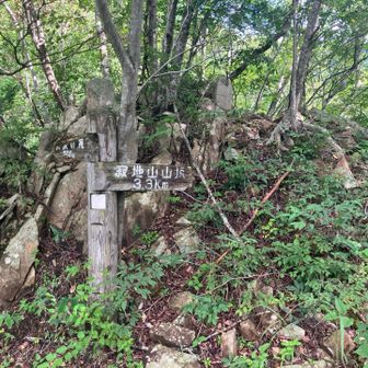 どんどん勾配がきつくなる