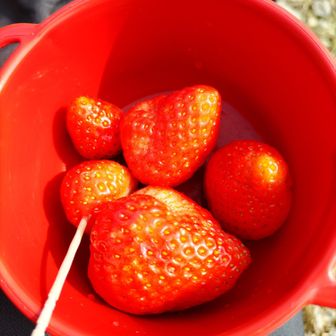 雨乞山で休憩

いま一番食べたいものだった✨