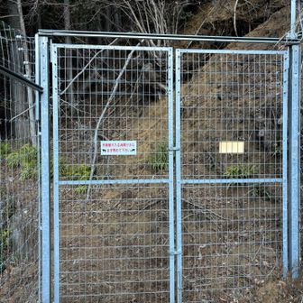 ジュラシックパークの中へ入って行く気分