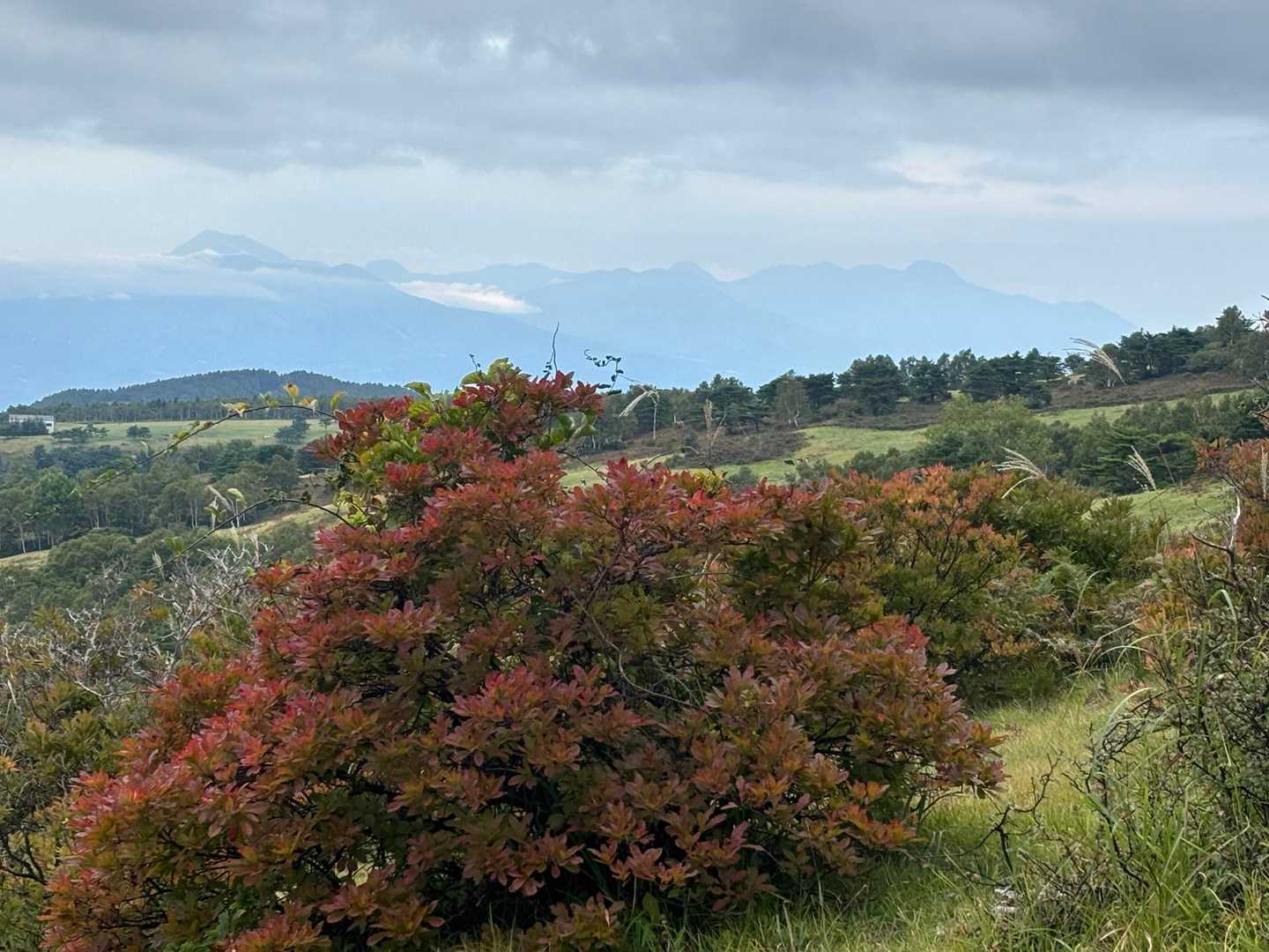 曇り空だけど高妻山から妙高まで見えている👀
そしてなんだか紅葉🍁も進んでる〜✨