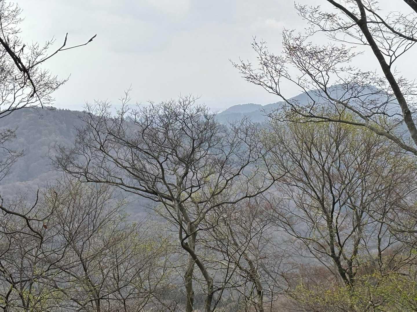 海に浮かぶ鳥海山が見えるはずなんだけど
今日は残念！