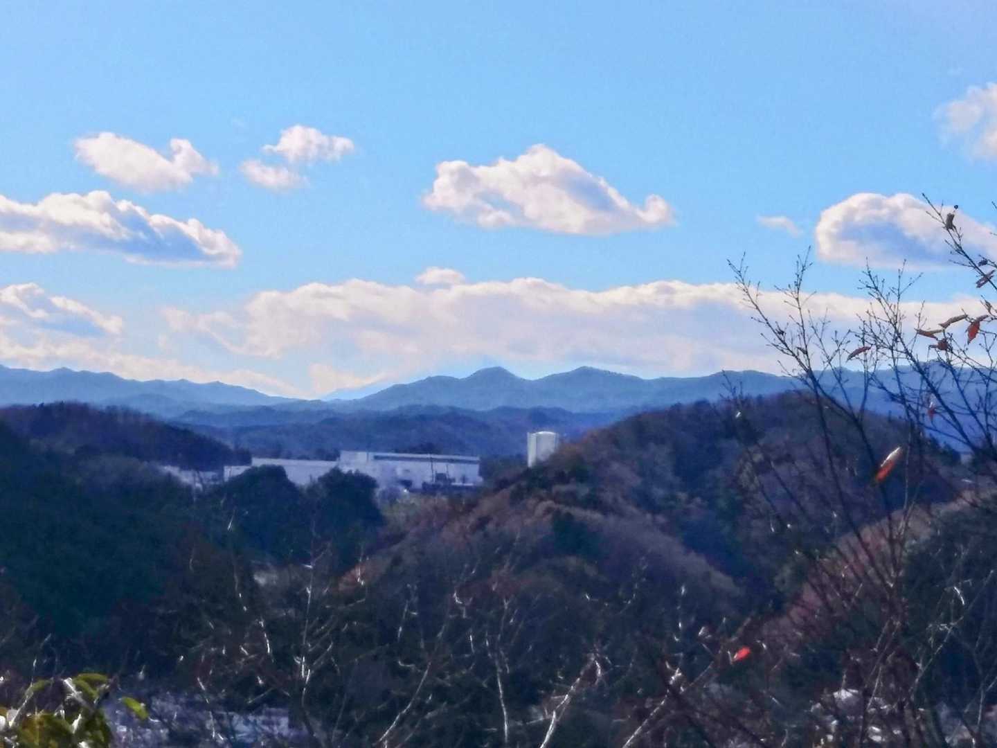 天覧山 往復コースの写真