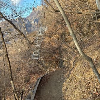 その前に長い鉄階段が待ち受けていた。