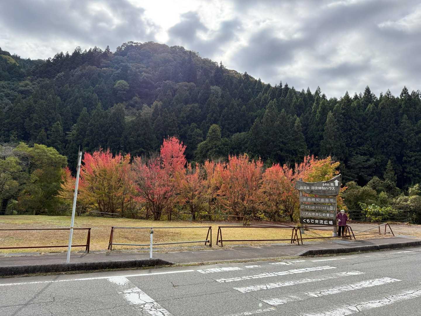 綺麗🤩に紅葉🍁
テンション⤴️