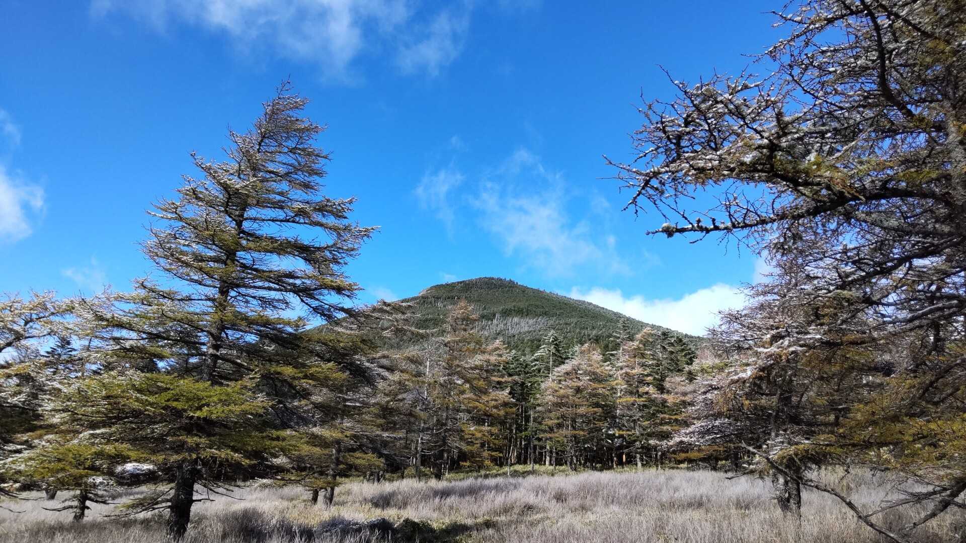 縞枯山の写真