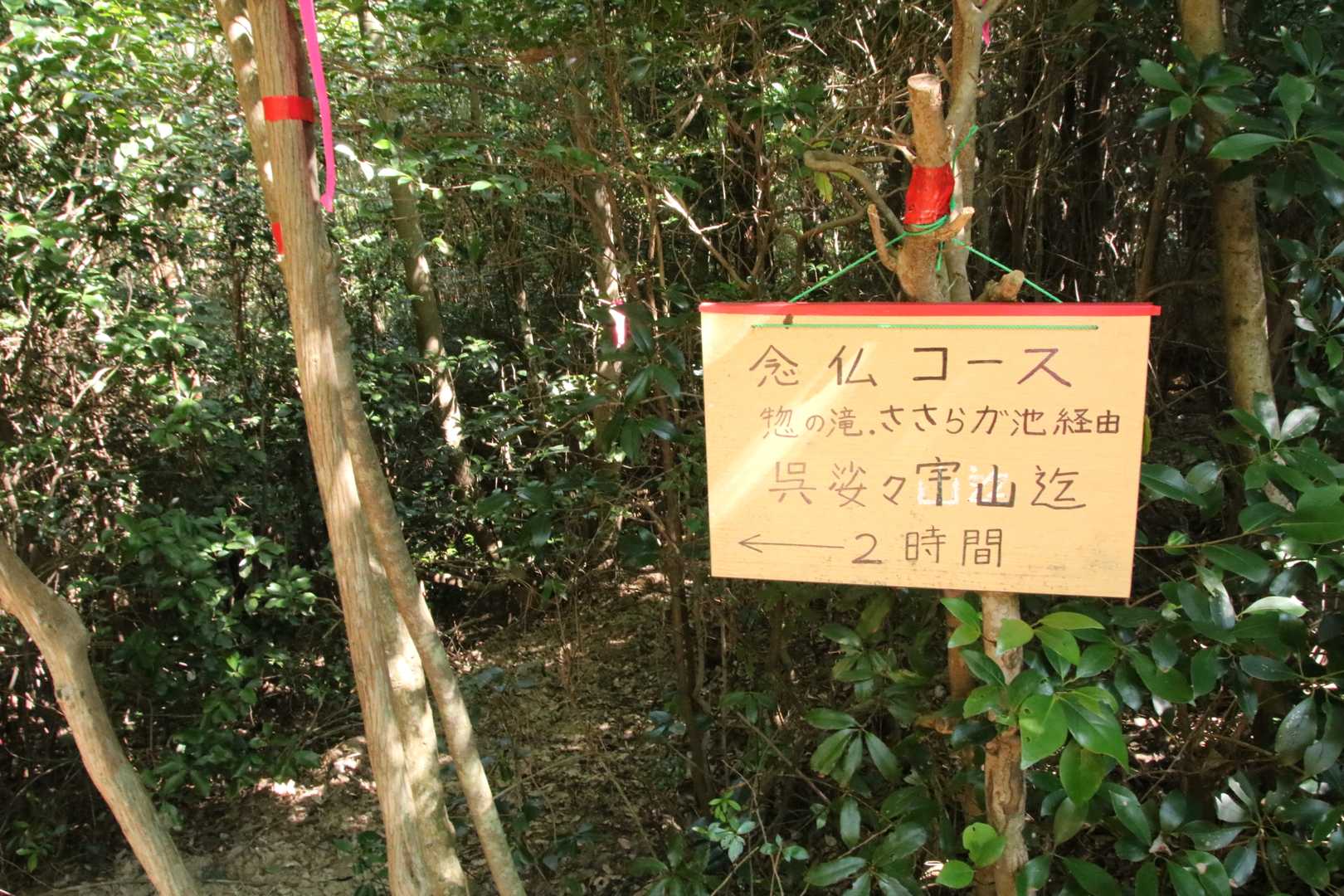 地図にはないが、念仏コースが数本、馬木へ降りる道。
