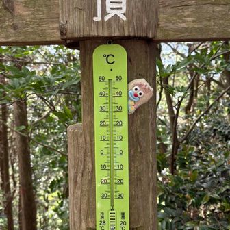 気温17℃
汗をかいた背中が冷たかった…
