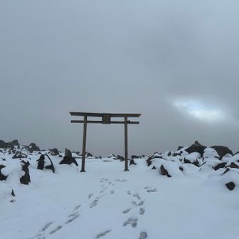 鳥居もあるにゃ〜