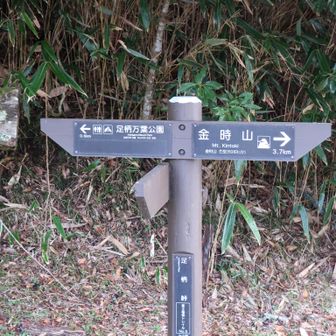 この近くでシカが横切って行った。
あっという間で写真撮れず。
クソポイント+1