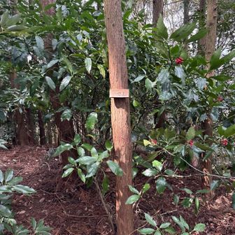 小さな小さな標識！