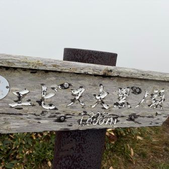 正解は一番奥にある山でした🤣
まあ一番高い山に決まってるよね
