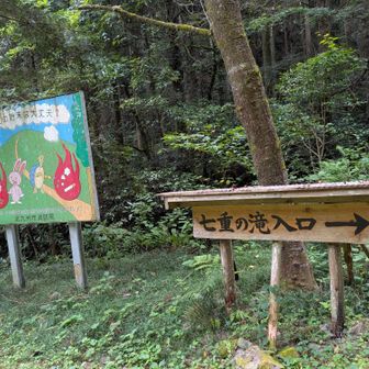 七重の滝入口。　
ここまで、貯水池の周り2キロほど歩く。