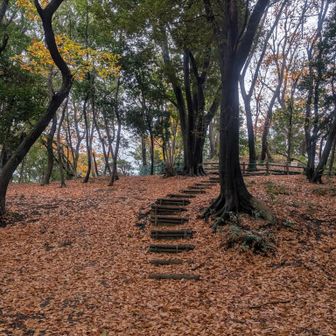 1番山っポイ😊