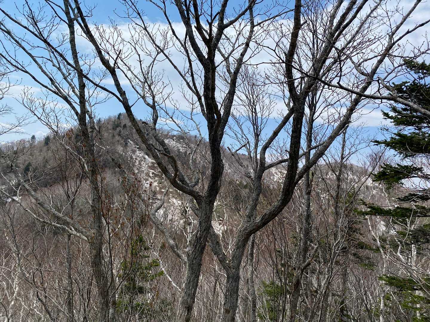 あれが砥石山⁈