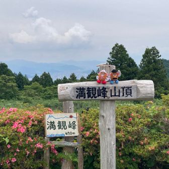 曇り空のため富士山不在