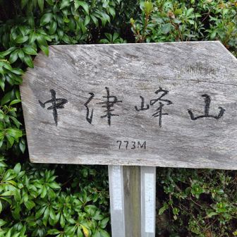 山頂は満員状態でベンチも空いてなかったので即下山😫