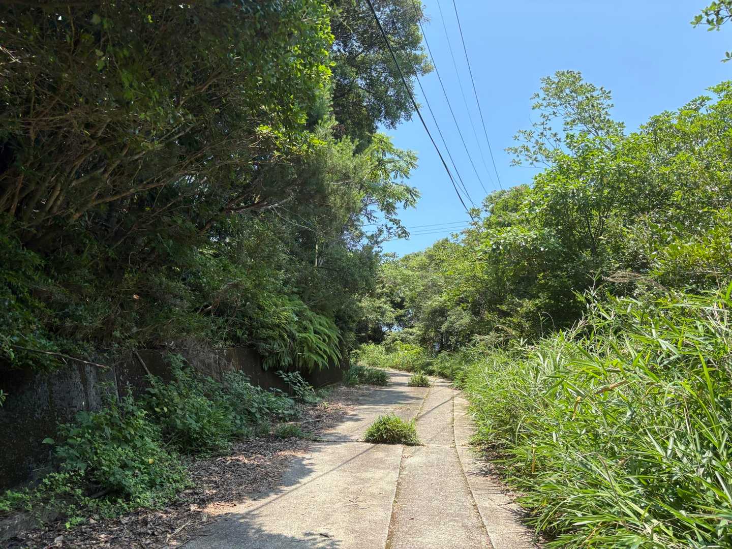 緩やかな傾斜の舗装路へ
暑かった🤣