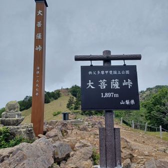 大菩薩峠到着。
ここは前泊した宿のママさんに、中里介山の小説の舞台として有名だと教えてもらいましたが、うちの家族いわく、過去の「事件」の舞台でもあったようで…、色々が詰まった場所のようですが、難しいことはさておき、