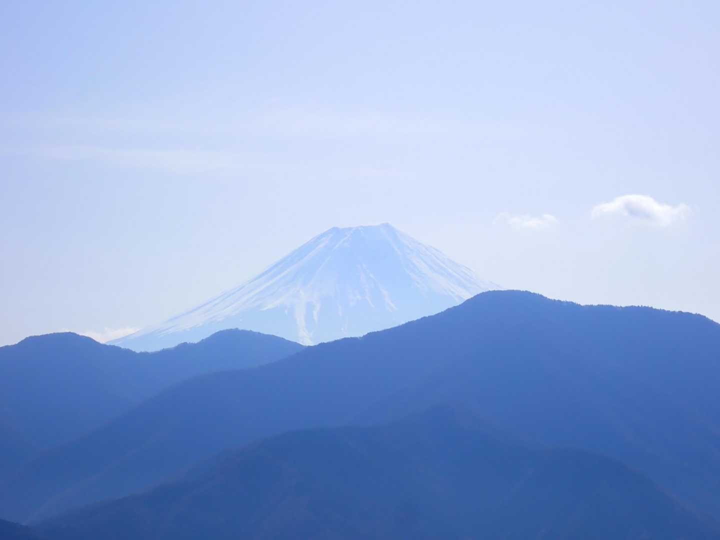 コバイモの場所が特定できたのにも関わらず発見できず、山頂まで来てしまいました。富士山がかろうじて見えています。