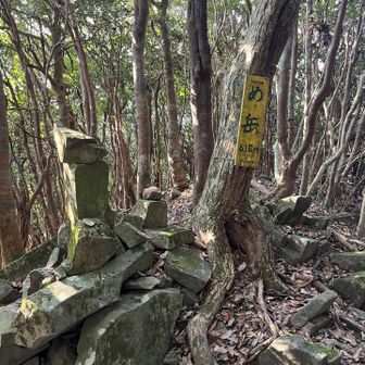 ひらがな！？笑
め岳⛰️眺望なし！