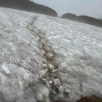 踏み跡を行けばツボ足でオケ