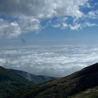 雲海