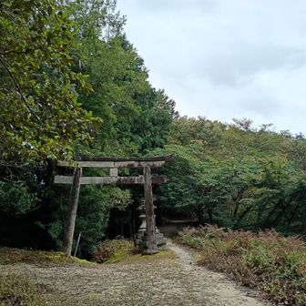 勝手知ったる京都トレイルコースに合流。