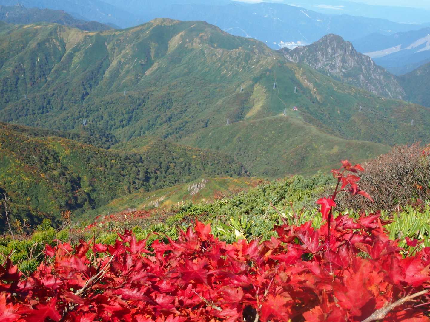 清水峠に向け下る。しばらくは大源太山が視界にある。