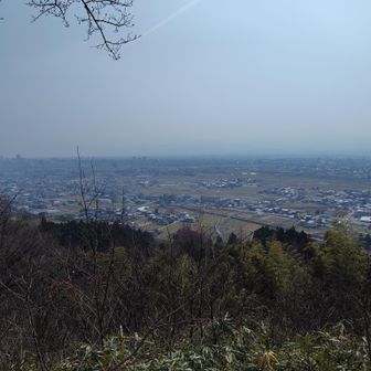 展望台から、やはり春霞。