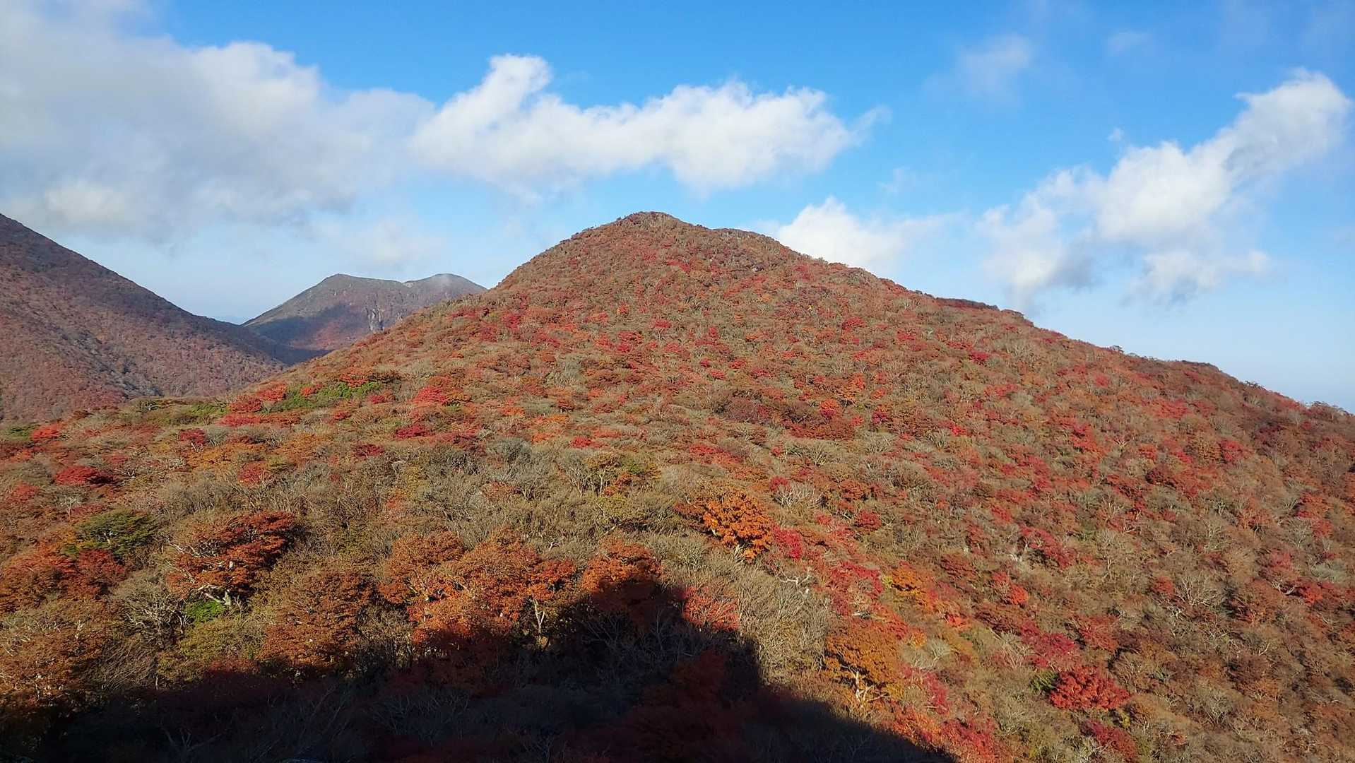 素晴らしい🔥✌️
パッチワーク