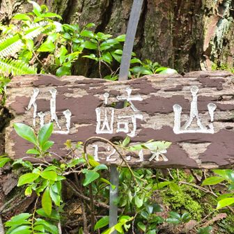 仙崎山、山頂到着✌️