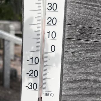 現在の気温、なんと24.5℃！
夏日一歩手前の暖かさだ🥵
今年の夏も思いやられるなあ…