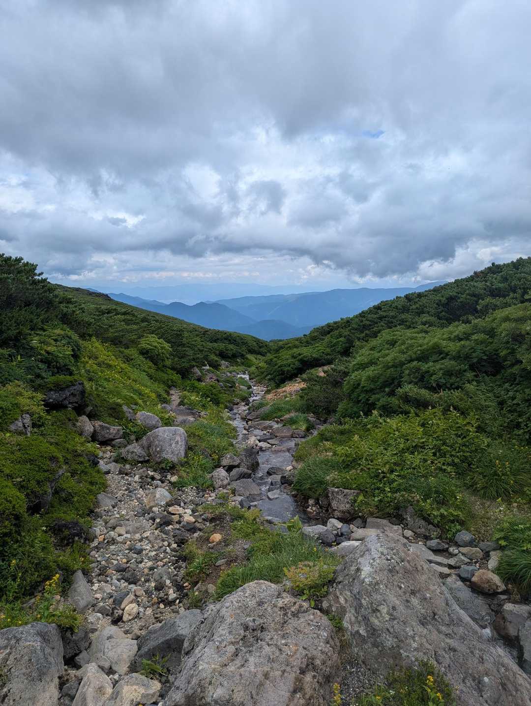 今回は周回ではなくピストンなので道を知ってる分、気持ちが楽です🙆