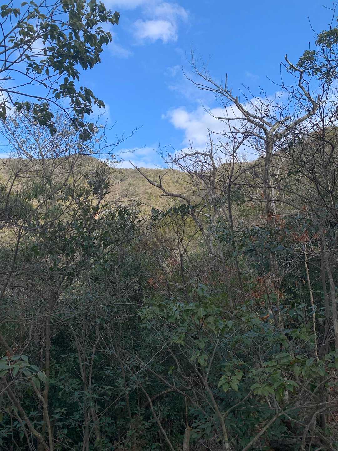 岡稲荷神社-三角点山 周回コースの写真