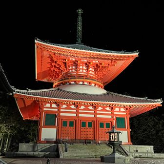 高野バッヂのために結構頑張ったんですが、反映されませんでした😭
大阪スタートだからかな😅