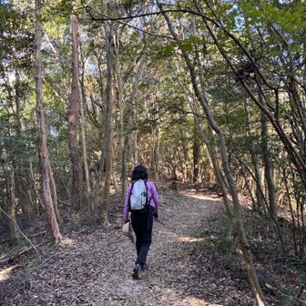再度山山頂には寄らずに