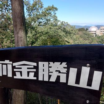 なんかやたら小道があって登りにくい