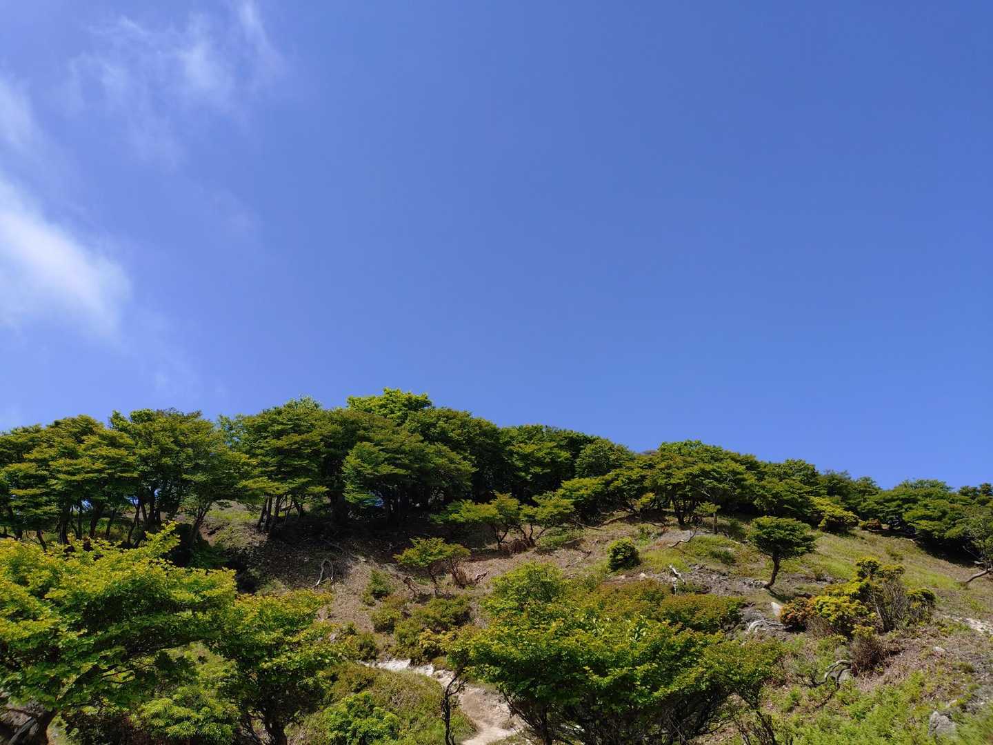 三池岳登山口-三池岳-八風峠 周回コースの写真