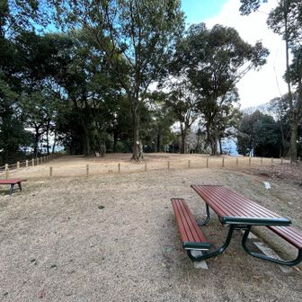 散歩途中の先輩方と暫し談話…
やっぱ年金受給は80超えてからが凄いらしい🧐