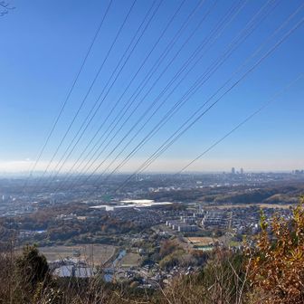 山頂から大阪市内を観る