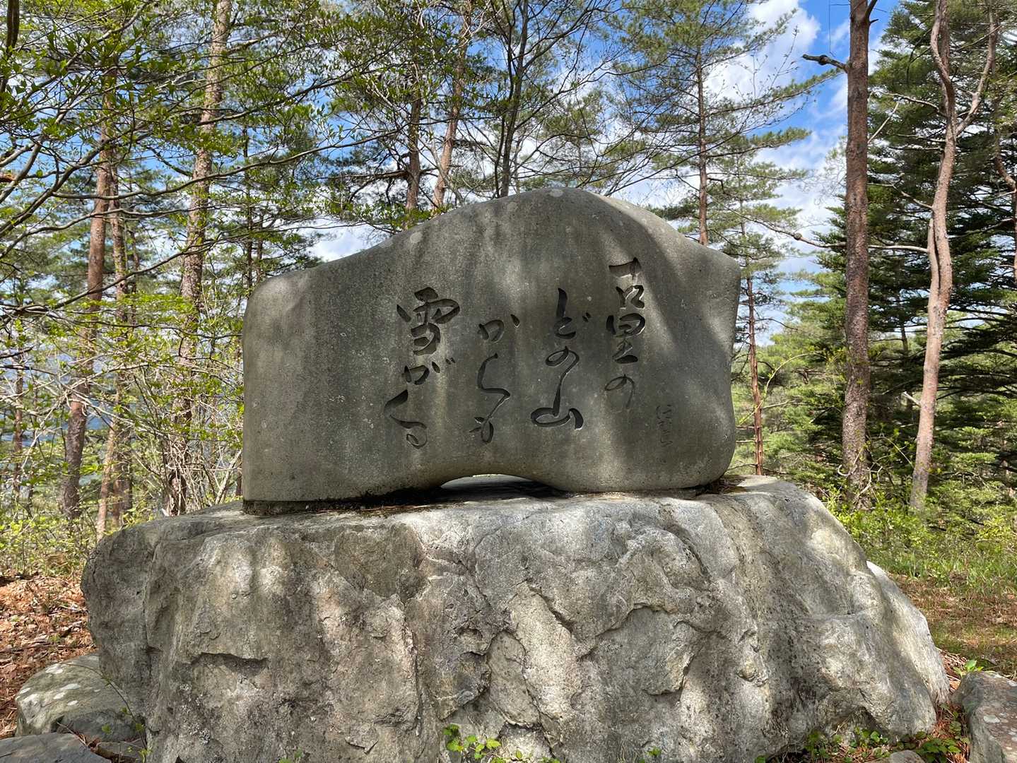 俳句はよくわかりません😵