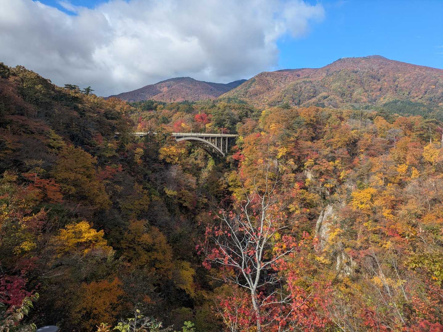 【鳴子峡】深さ100mの大峡谷が織りなす絶景｜宮城・大崎の写真