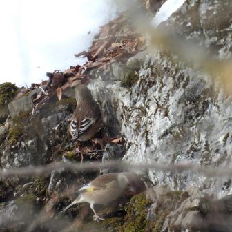 あんよが堪らん🥹