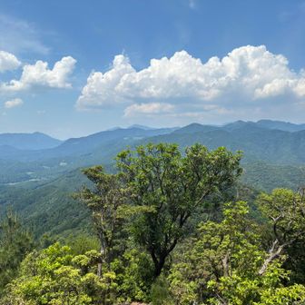 遠くに綿向山と雨乞岳