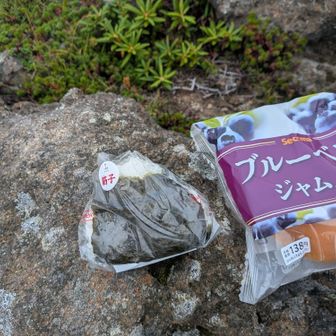 おにぎりは筋子派
デザートはセコマのジャムパン