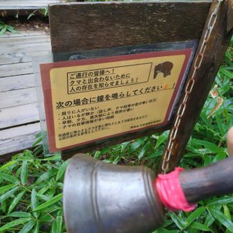 熊の出没情報多々ありみたい🐻
いたるところに鐘が設置ありしつこいくらい鳴らしました！
本日私が一番のりだったけど熊鈴なしのザックなしで山入したからちとびびりながらの散歩に😅