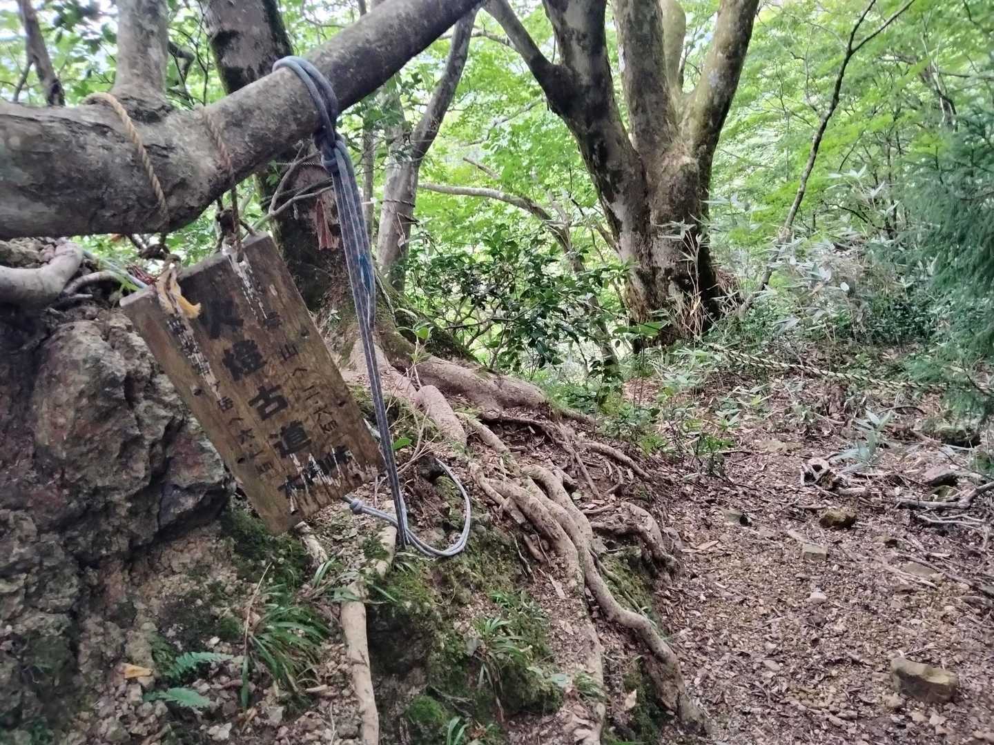 火燈古道とあるも、前方トラロープで前進不能！
道間違えたかな？ と90°左に道続いてました。
念の為、現在地確認です。