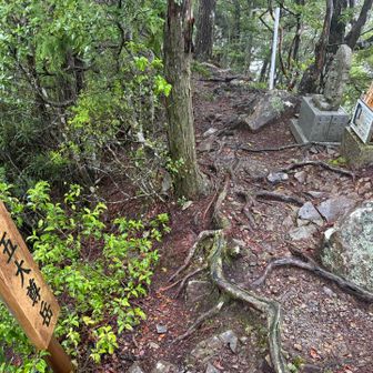 第7靡　五大尊岳
右の手前の台座に鎮座していた不動明王様は消失してしまい2代目が横におられます。